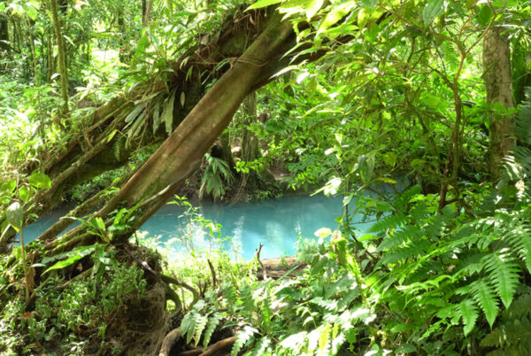 groen costa rica en rio celeste