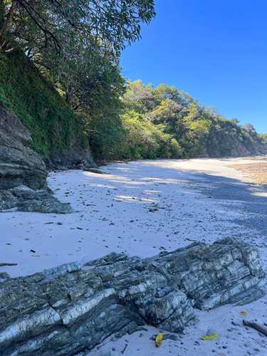 pink beach in nosara