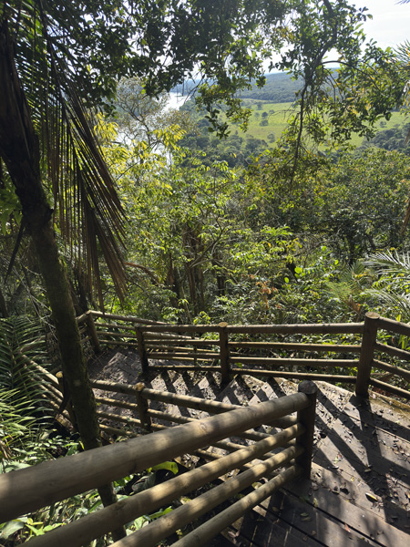 Mirador tot rivier