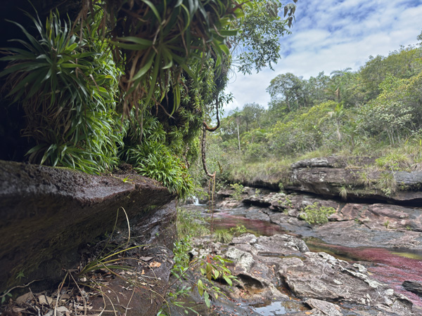 canyonwand in cano cristales