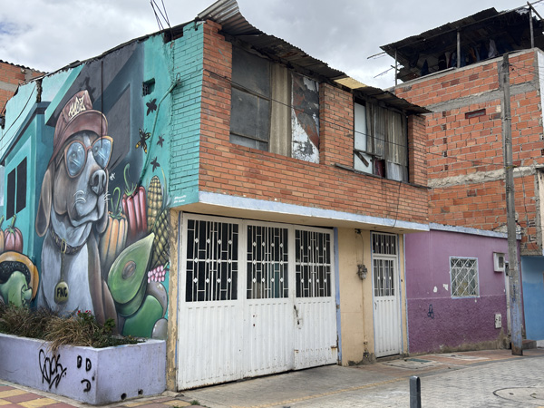 contrast in paraiso