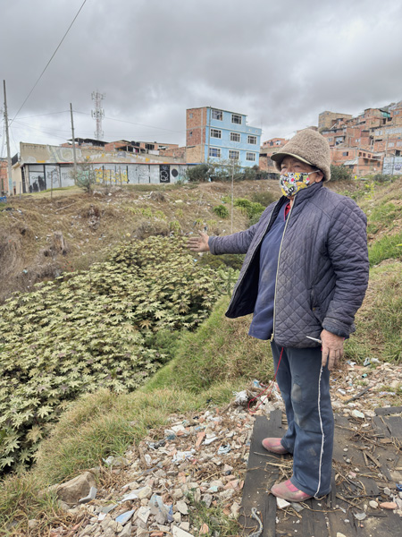 groen project in ciudada bolivar