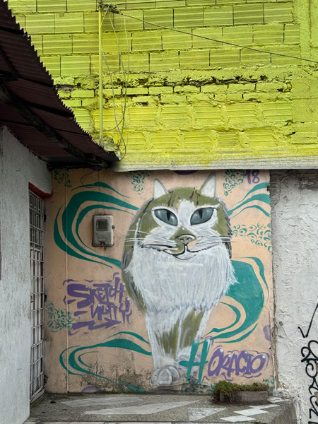 kat muurschilderij in ciudad bolivar