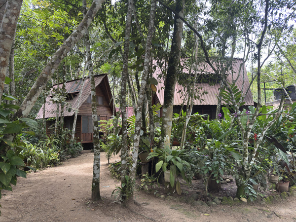 makalombia logement