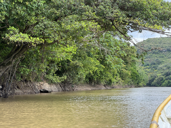 rivier guayabi