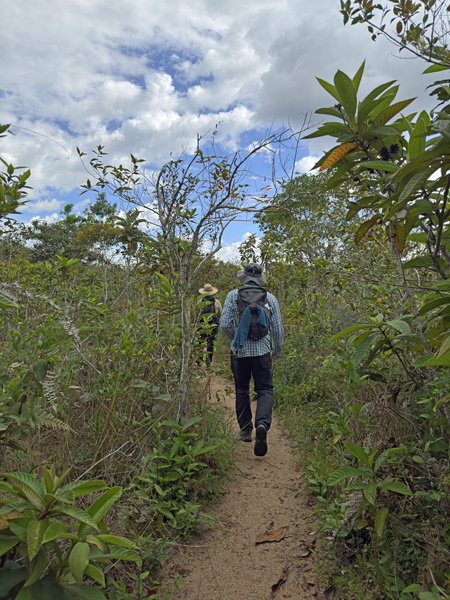wandelen naar cano cristales