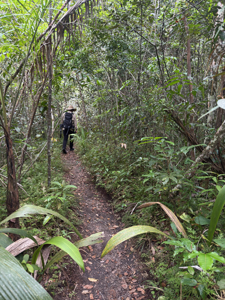 wandeling cano cristales