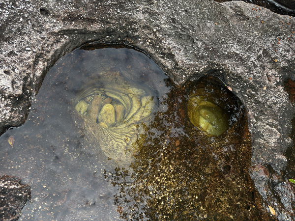 water holes in cano cristales