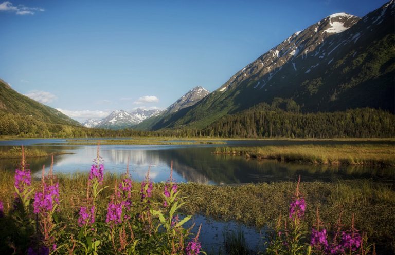 Landschap in Alaska