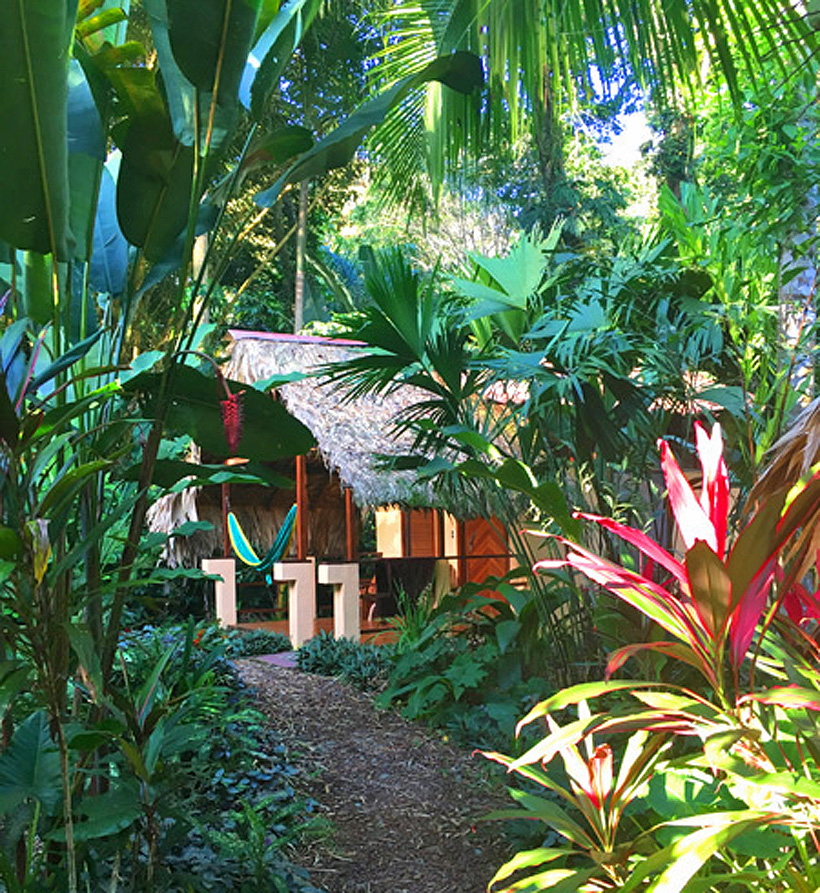 bungalow in jungle Caribe Town Puerto Viejo