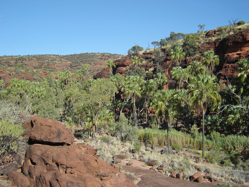 wandelen in palm valley outback