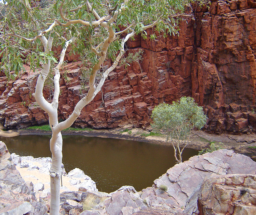billabong in outback