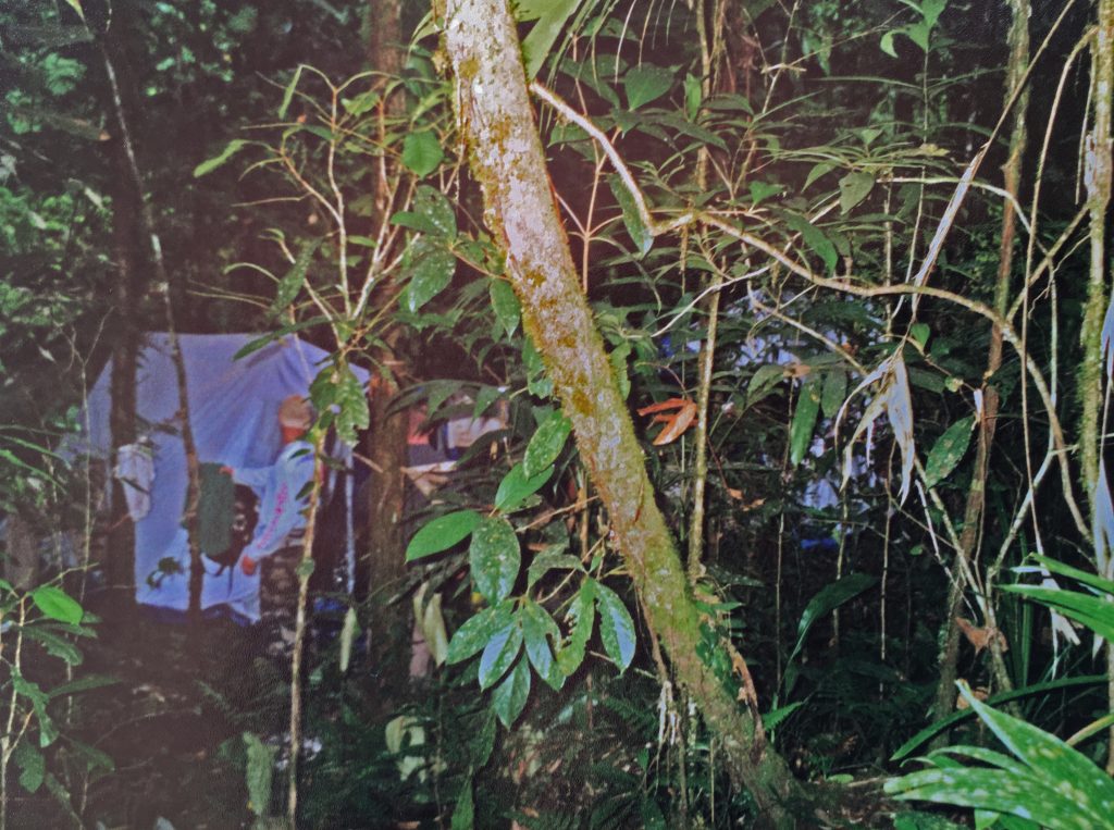 avontuur tijdens kamperen in de jungle