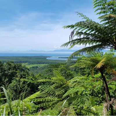 Tropisch Queensland: van Cairns tot de Whitsunday Islands