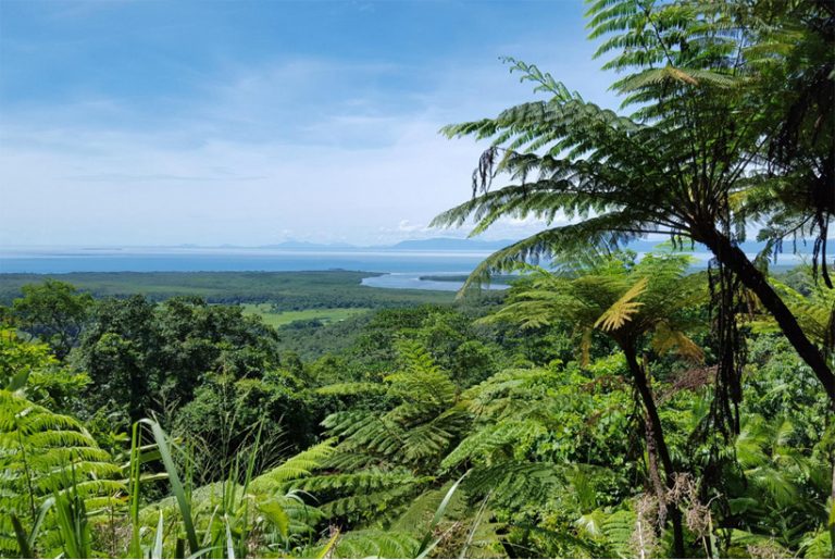 Tropisch Queensland: van Cairns tot de Whitsunday Islands