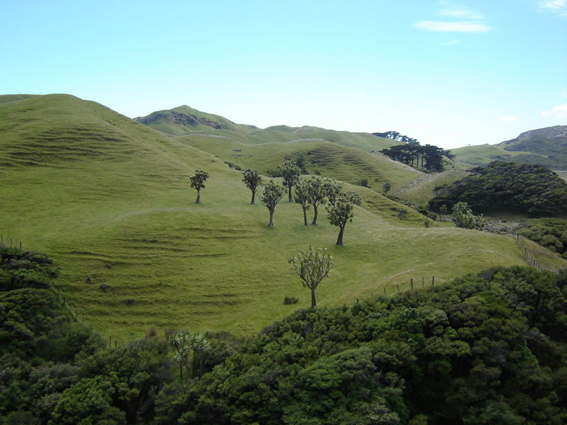 groene heuvels op het zuidereiland
