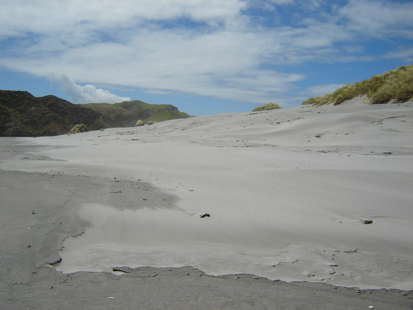 zandduinen op het zuidereiland