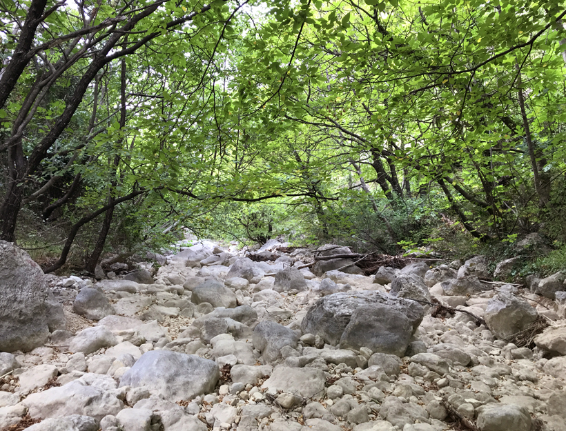 rots rivierbedding Paklenica