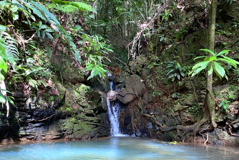 piscina natural pachamama