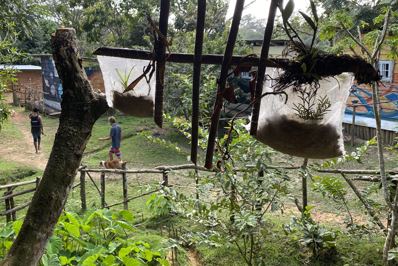 vrijwilligerswerk tuinieren in Pachamama