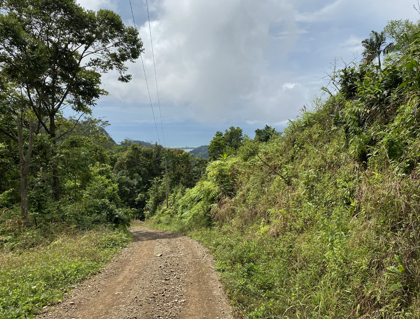 dirt road La Trinidad