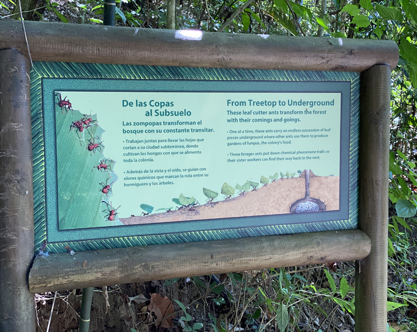 infobord in carara nationaal park