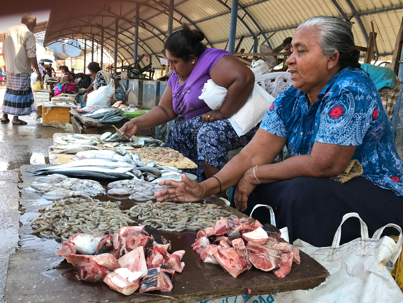 vismarkt Negombo