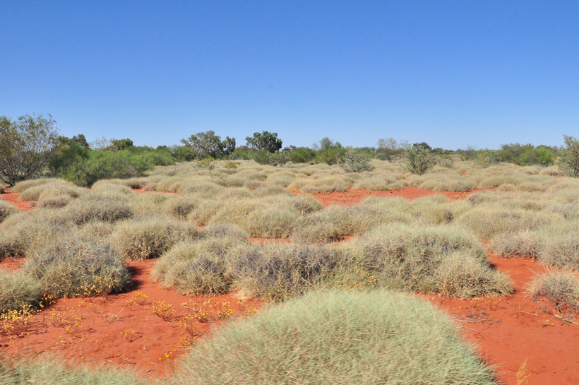 outback western australia