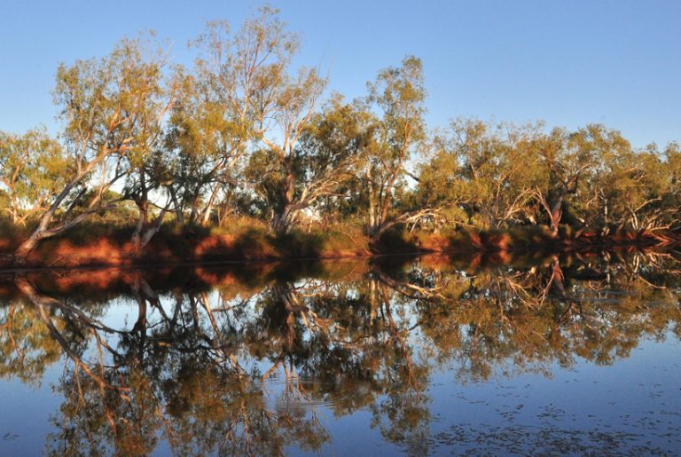 Unieke outback belevenis: kamperen op afgelegen Emu Creek