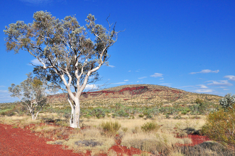 graafschap East Pilbara in western australia