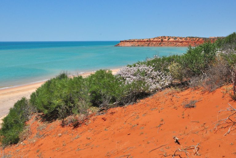 francois peron in shark bay