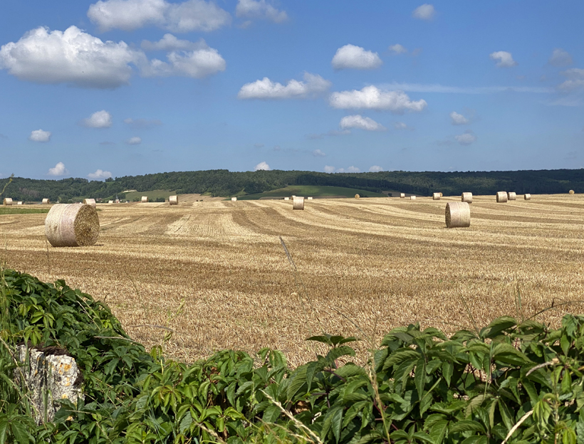 graanvelden in Bourgogne