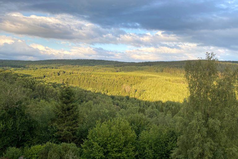 Wandelen in het woud van Nassogne