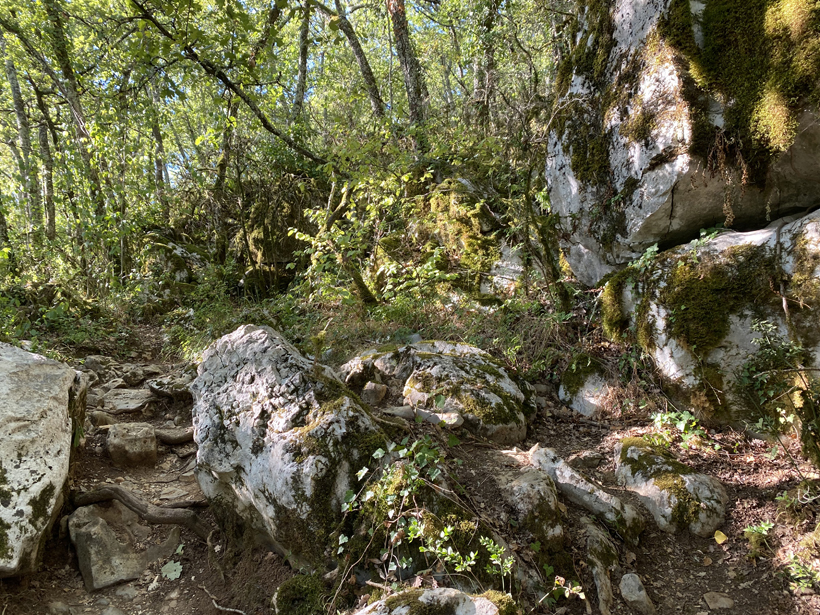wandeling bois païolive Ardèche