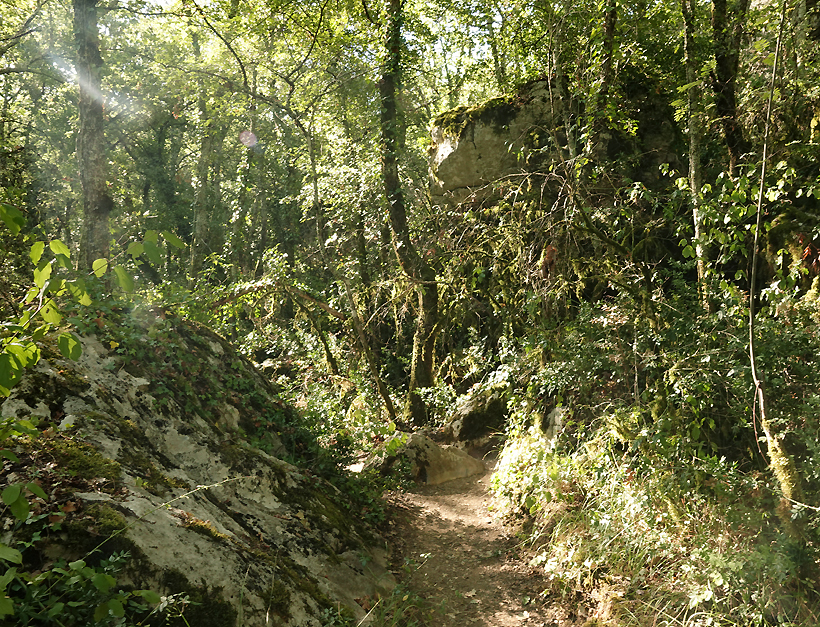 wandeling bois païolive Ardèche