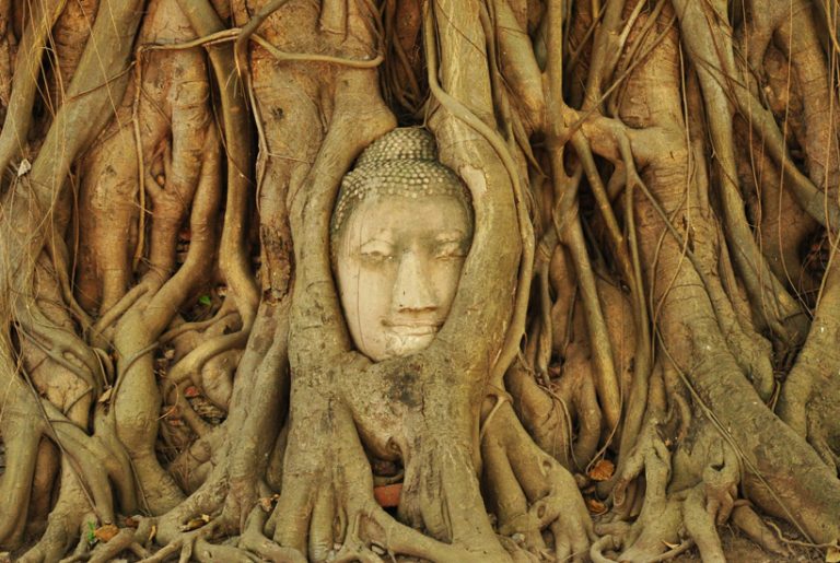 Uitdaging van de zintuigen in het noorden van Thailand