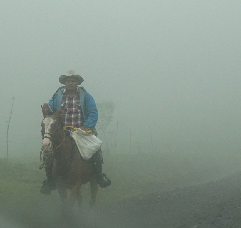 cowboy in sluier mist