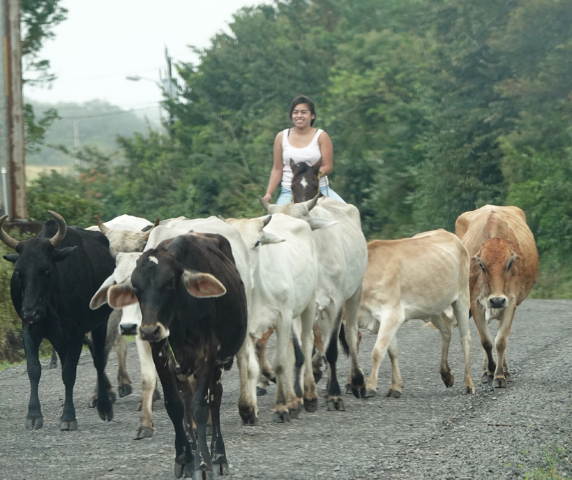 cowgirl op de weg