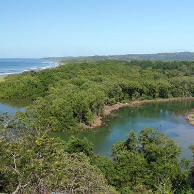 Stranden in een natuurreservaat en dieren helpen in Nosara