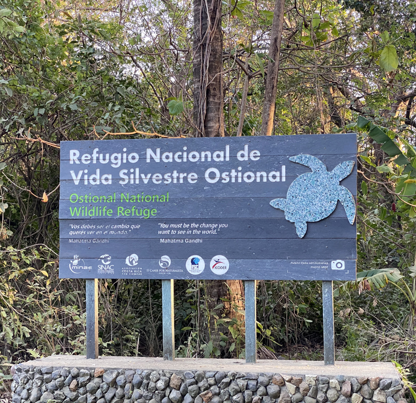 Ostional wilflife refuge