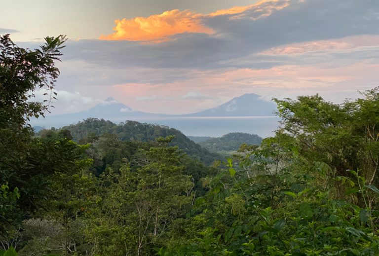 La Tierra Madre: give back to nature aan de grens met Nicaragua