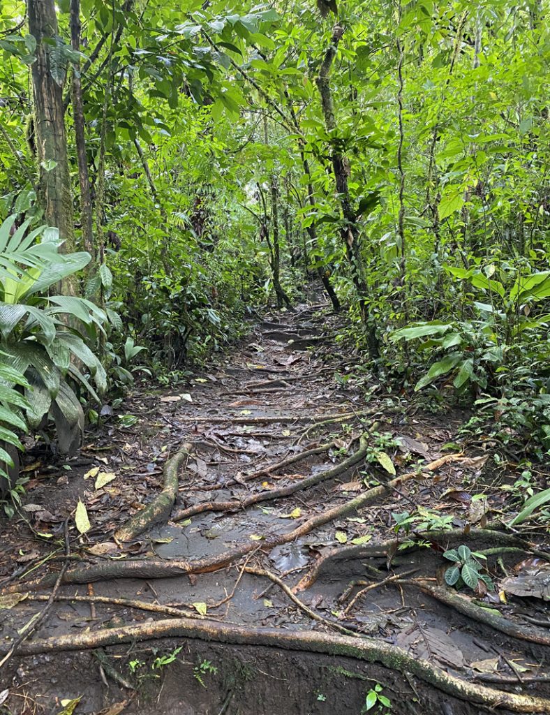 wandelpad naar Bromelias hot springs Dos Rios