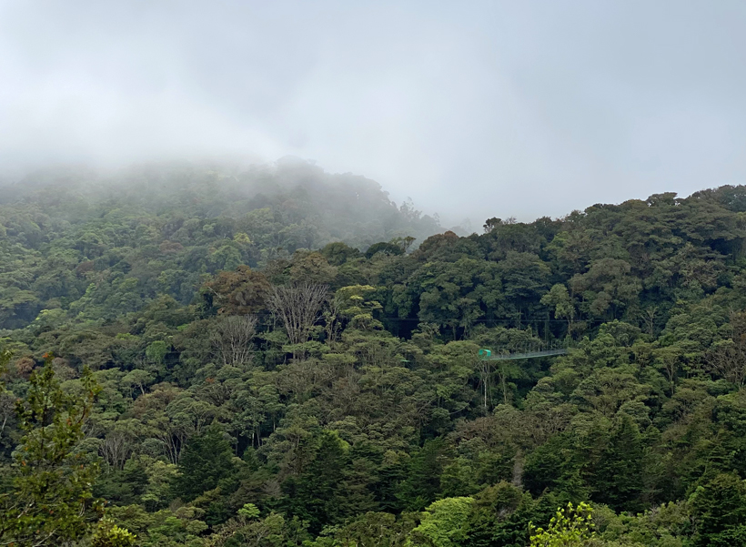 hangbrug in nevelwoud Monteverde