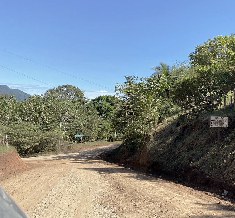 Ruta 162 naar Bongo
