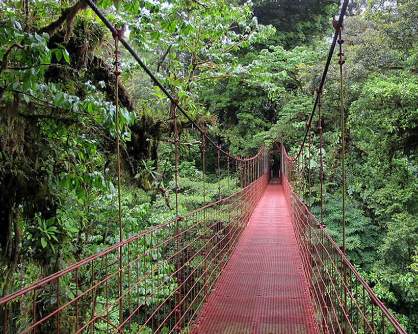 Monteverde cloud forest reserve rode brug