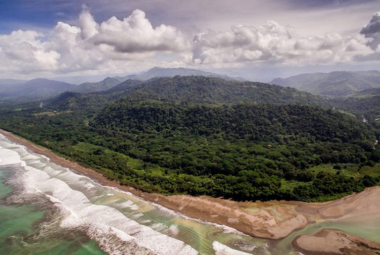 Hacienda Baru: de natuur terug aan zet