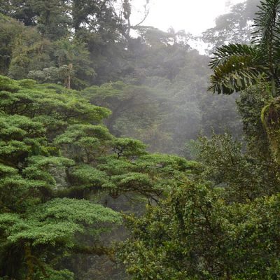 Braulio Carrillo Nationaal Park: tussenstop voor natuurliefhebbers