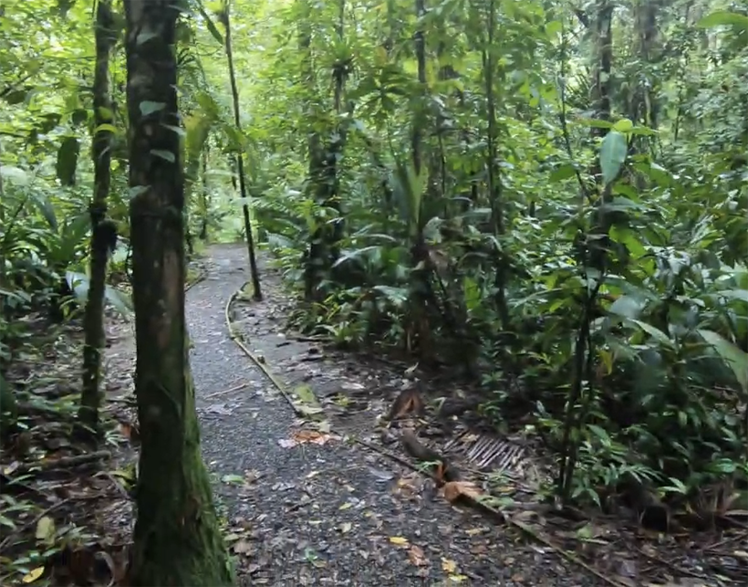 ceibo wandelpad braulio carillo