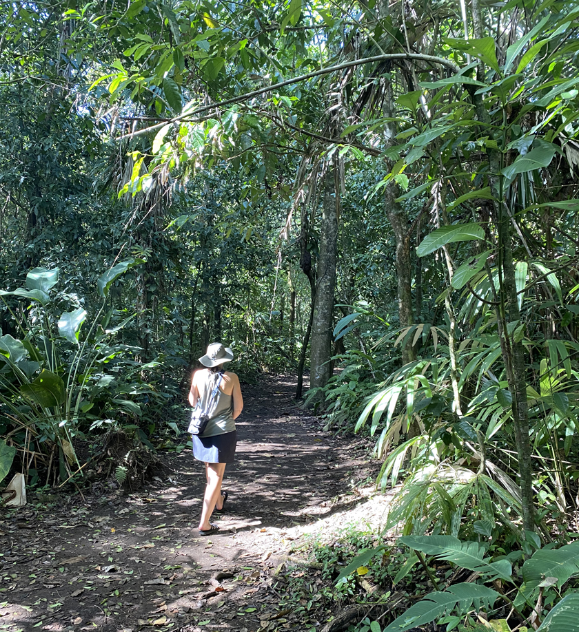 wandelen in tortuguero nationaal park