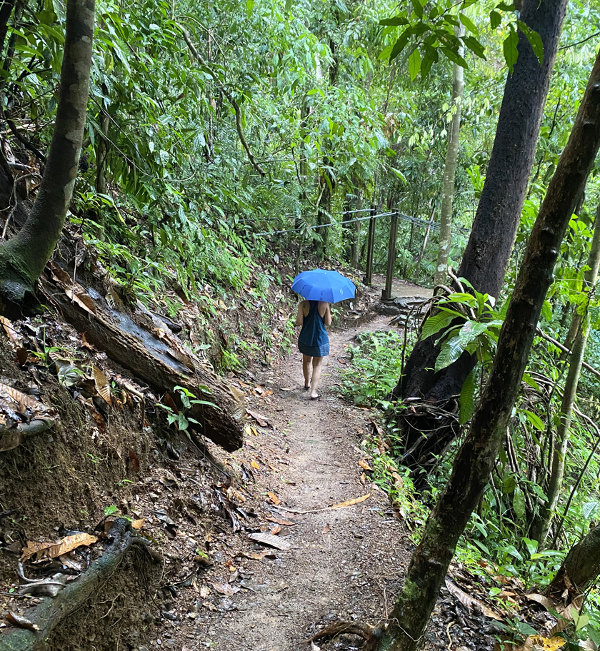 drake bay hiking trail in de regen